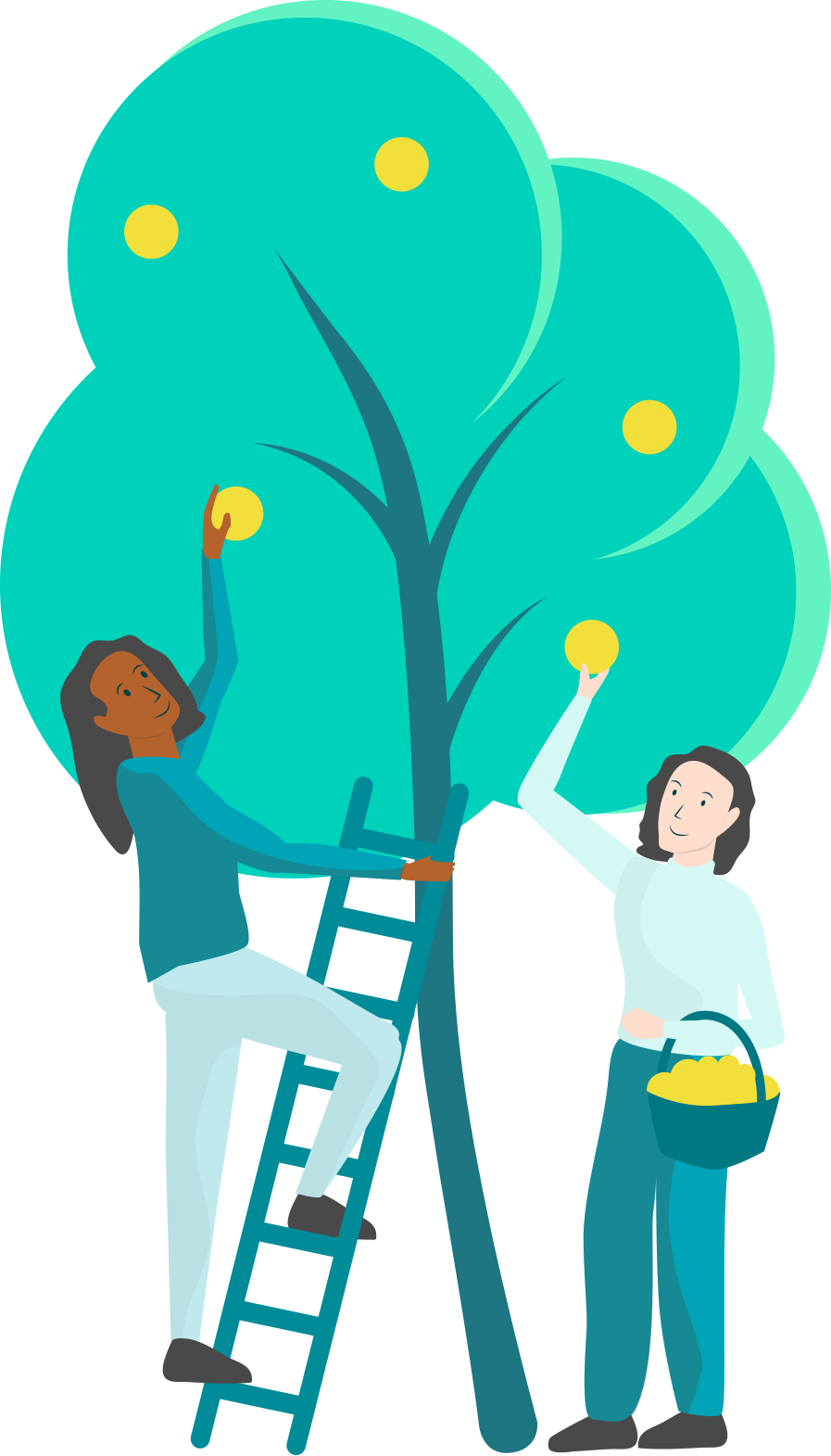 An illustration of two people picking yellow fruit off of a tall tree.