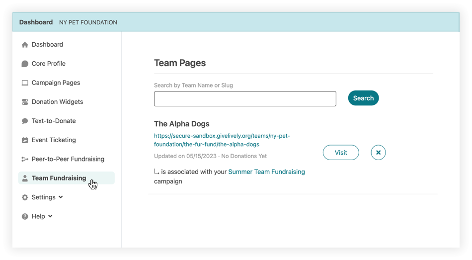 A screenshot of the Team Fundraising page in the Nonprofit Admin Portal.